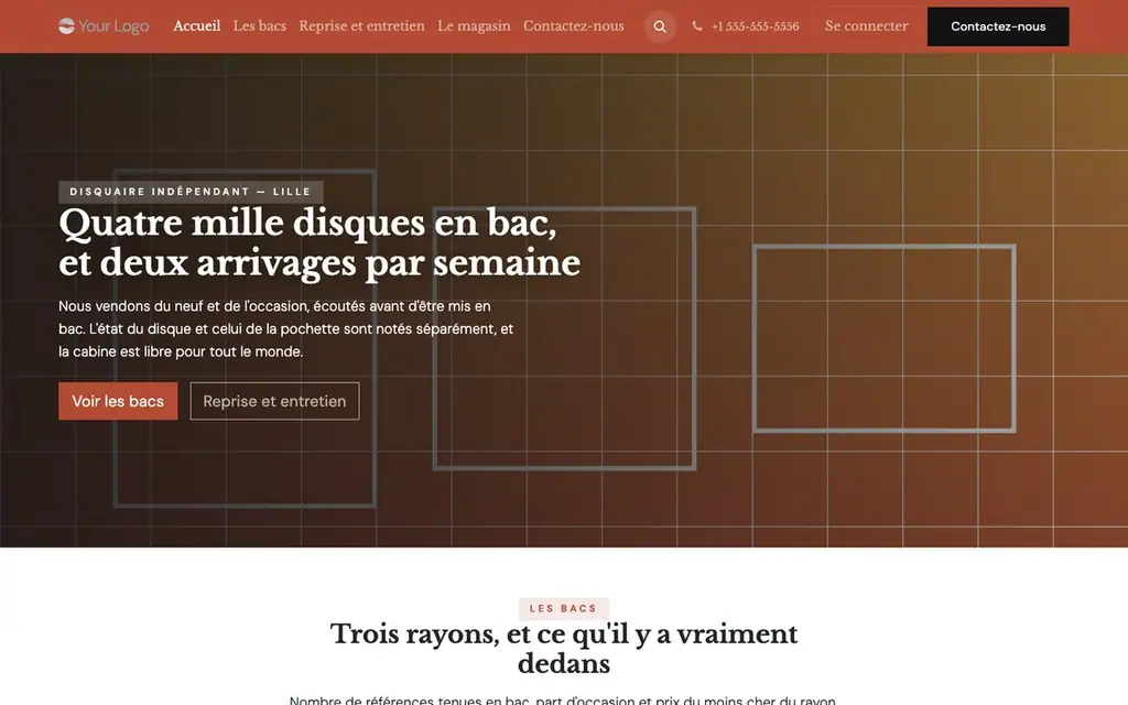 Thème Platine — Disquaire indépendant (complet) — capture 1